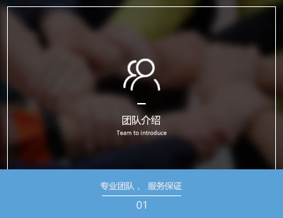 描述